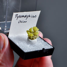 Load image into Gallery viewer, Pyromorphite