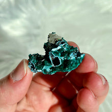 Load image into Gallery viewer, Dioptase with Shattuckite and Quartz