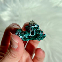 Load image into Gallery viewer, Dioptase with Shattuckite and Quartz