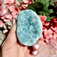 Load image into Gallery viewer, Celestite