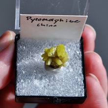 Load image into Gallery viewer, Pyromorphite