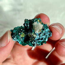 Load image into Gallery viewer, Dioptase with Shattuckite and Quartz