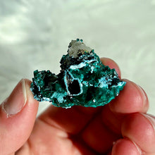 Load image into Gallery viewer, Dioptase with Shattuckite and Quartz