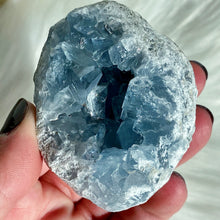 Load image into Gallery viewer, Celestite