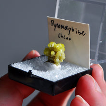 Load image into Gallery viewer, Pyromorphite