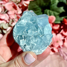 Load image into Gallery viewer, Celestite