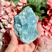 Load image into Gallery viewer, Celestite