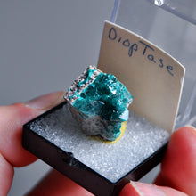 Load image into Gallery viewer, Dioptase