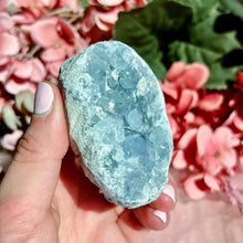 Load image into Gallery viewer, Celestite