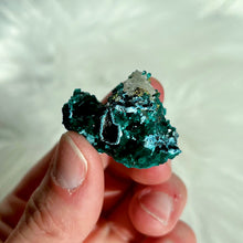 Load image into Gallery viewer, Dioptase with Shattuckite and Quartz