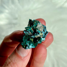 Load image into Gallery viewer, Dioptase with Shattuckite and Quartz