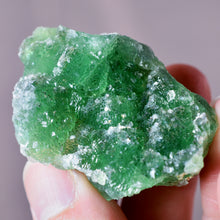 Load image into Gallery viewer, Colorado Druzy Fluorite