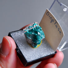 Load image into Gallery viewer, Dioptase