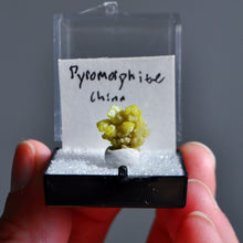 Load image into Gallery viewer, Pyromorphite