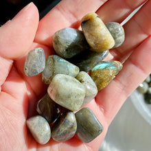 Load image into Gallery viewer, Labradorite Tumbles