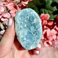 Load image into Gallery viewer, Celestite