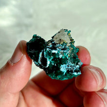 Load image into Gallery viewer, Dioptase with Shattuckite and Quartz