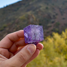 Load image into Gallery viewer, Purple Fluorite Cube with Sphalerite
