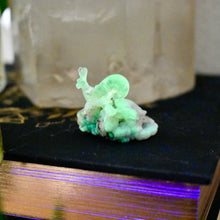 Load image into Gallery viewer, Hyalite Opal Snail Carving **UV Reactive** **One-of-a-Kind**
