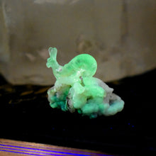 Load image into Gallery viewer, Hyalite Opal Snail Carving **UV Reactive** **One-of-a-Kind**
