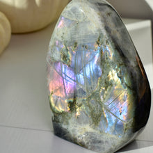 Load image into Gallery viewer, Large Sunset Flash Labradorite Freeform
