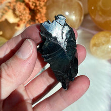Load image into Gallery viewer, Noble Shungite
