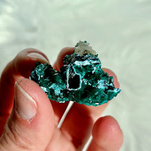 Load image into Gallery viewer, Dioptase with Shattuckite and Quartz
