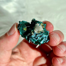 Load image into Gallery viewer, Dioptase with Shattuckite and Quartz
