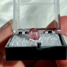 Load image into Gallery viewer, Pink Tourmaline
